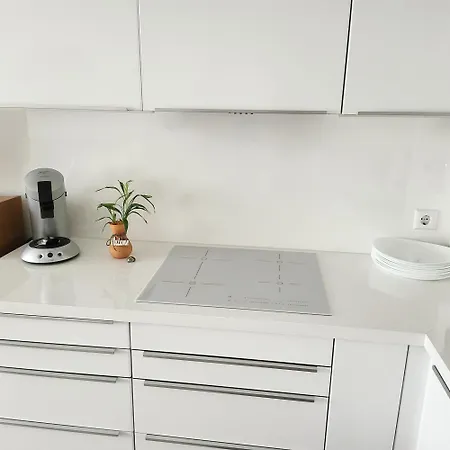 Apartment Comfortable And Spacious Freiburg im Breisgau